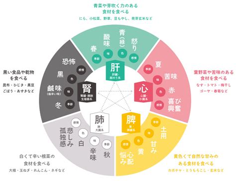 皮膚五行|⑬陰陽五行がわかる！爪、顔色、髪、皮膚、歯を見るとわかるこ。